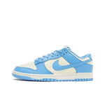 Nike Dunk Low Retro University Blue