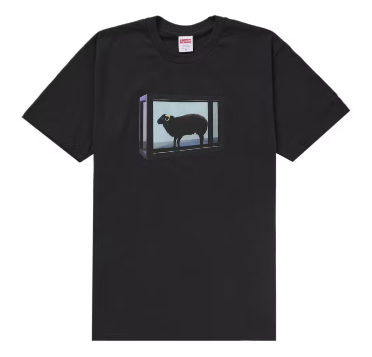 Supreme/Damien Hirst Tee Black