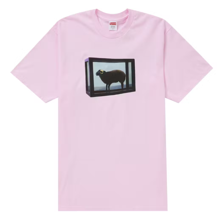 Supreme/Damien Hirst Tee Light Pink