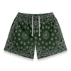 Bravest Studios Screenprinted Paisley Two-Tone Green Shorts