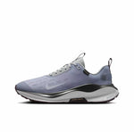 Nike React Infinity Run 4 Gore-Tex Ashen Slate Light Pumice Dark Smoke Grey Football Grey