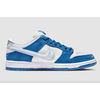 Nike SB Dunk Low Born x Raised One Block At A Time