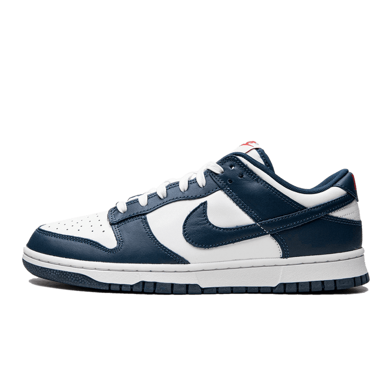 Nike Dunk Low Valerian Blue