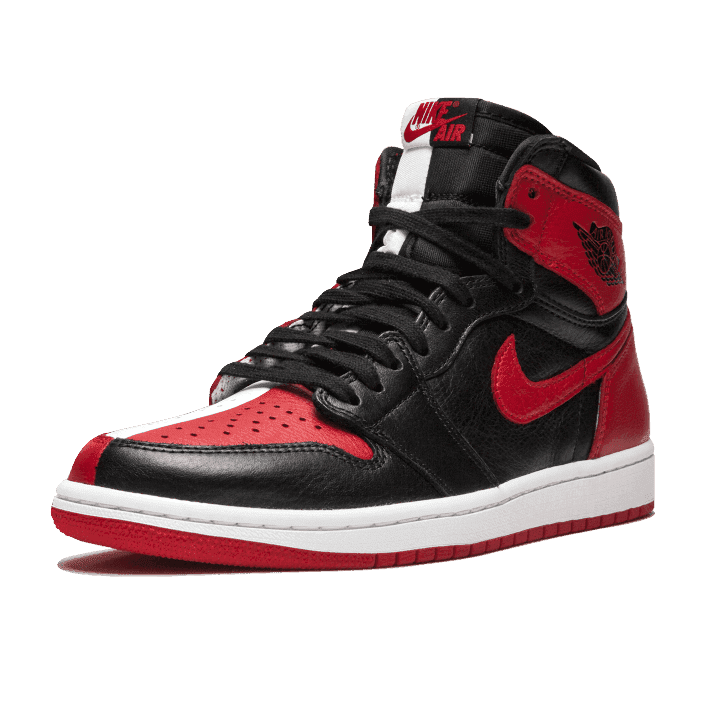 Jordan 1 Retro High Homage To Home (Non-numbered)